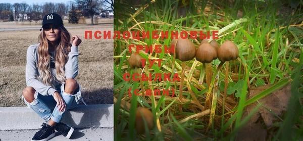 индика Кукмор