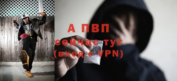 соль ск Кулебаки