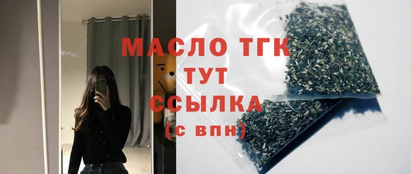 соль ск Кулебаки