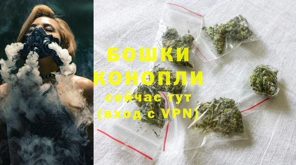 стаф Тольятти