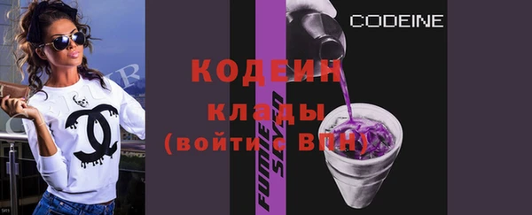 индика Кукмор