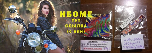 индика Кукмор