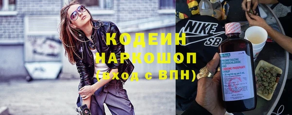 индика Кукмор