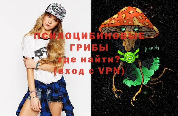 стаф Тольятти