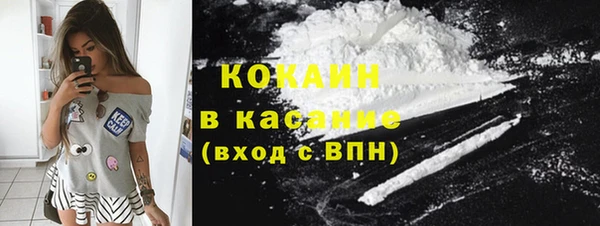соль ск Кулебаки