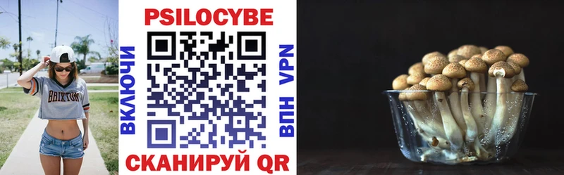 Купить где  Краснознаменск  Псилоцибиновые грибы мухоморы 
